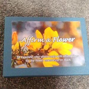 🆕 Affirmation Cards